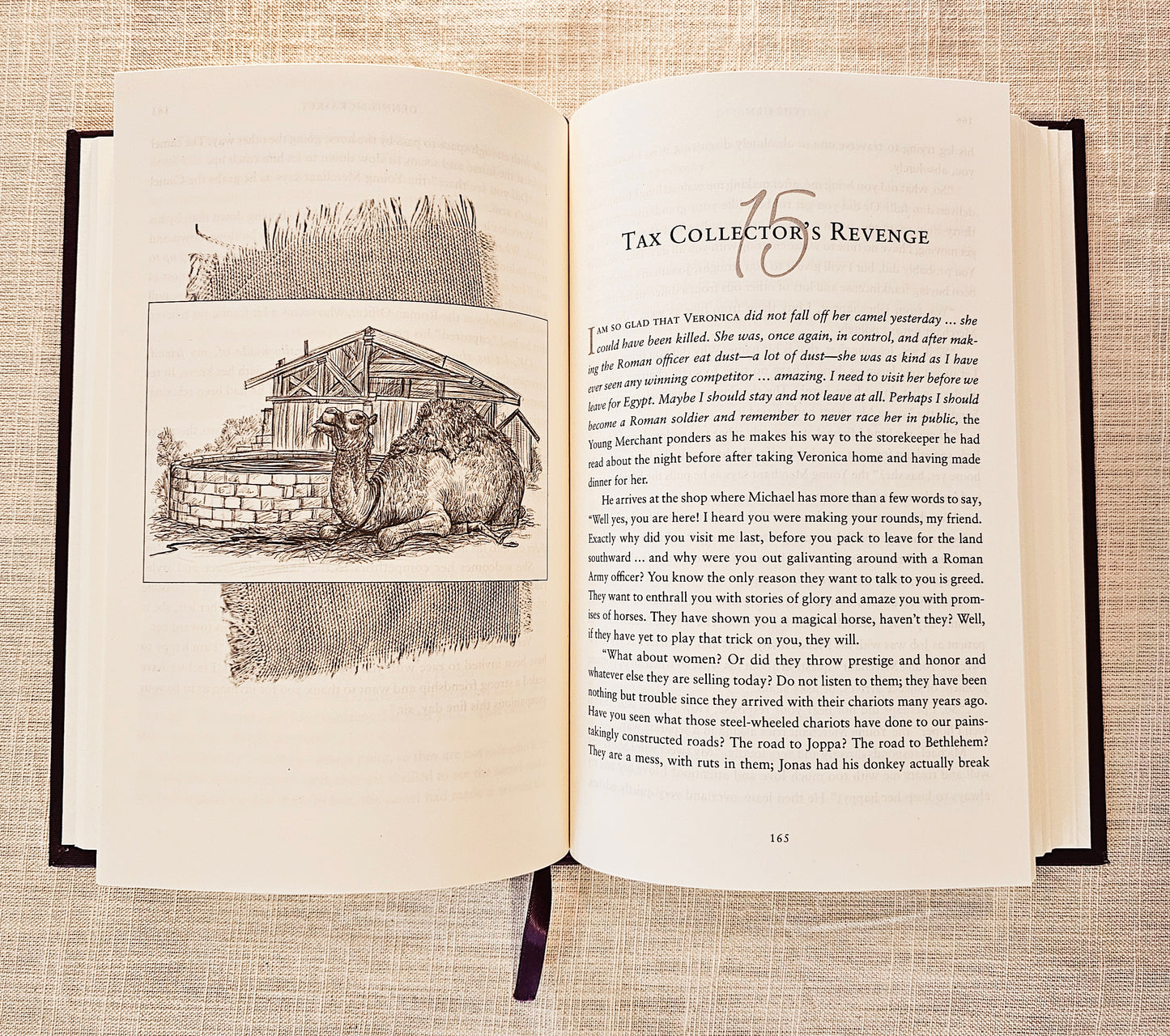 The Hem collector's edition novel