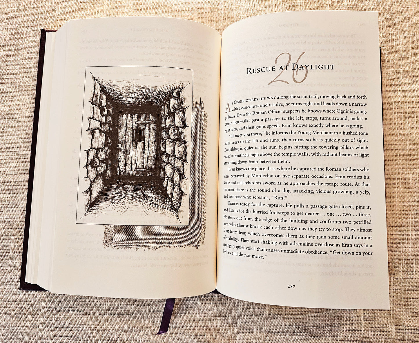 The Hem collector's edition novel