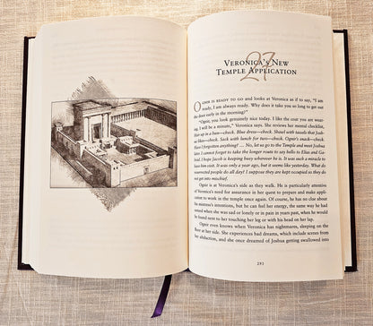 The Hem collector's edition novel