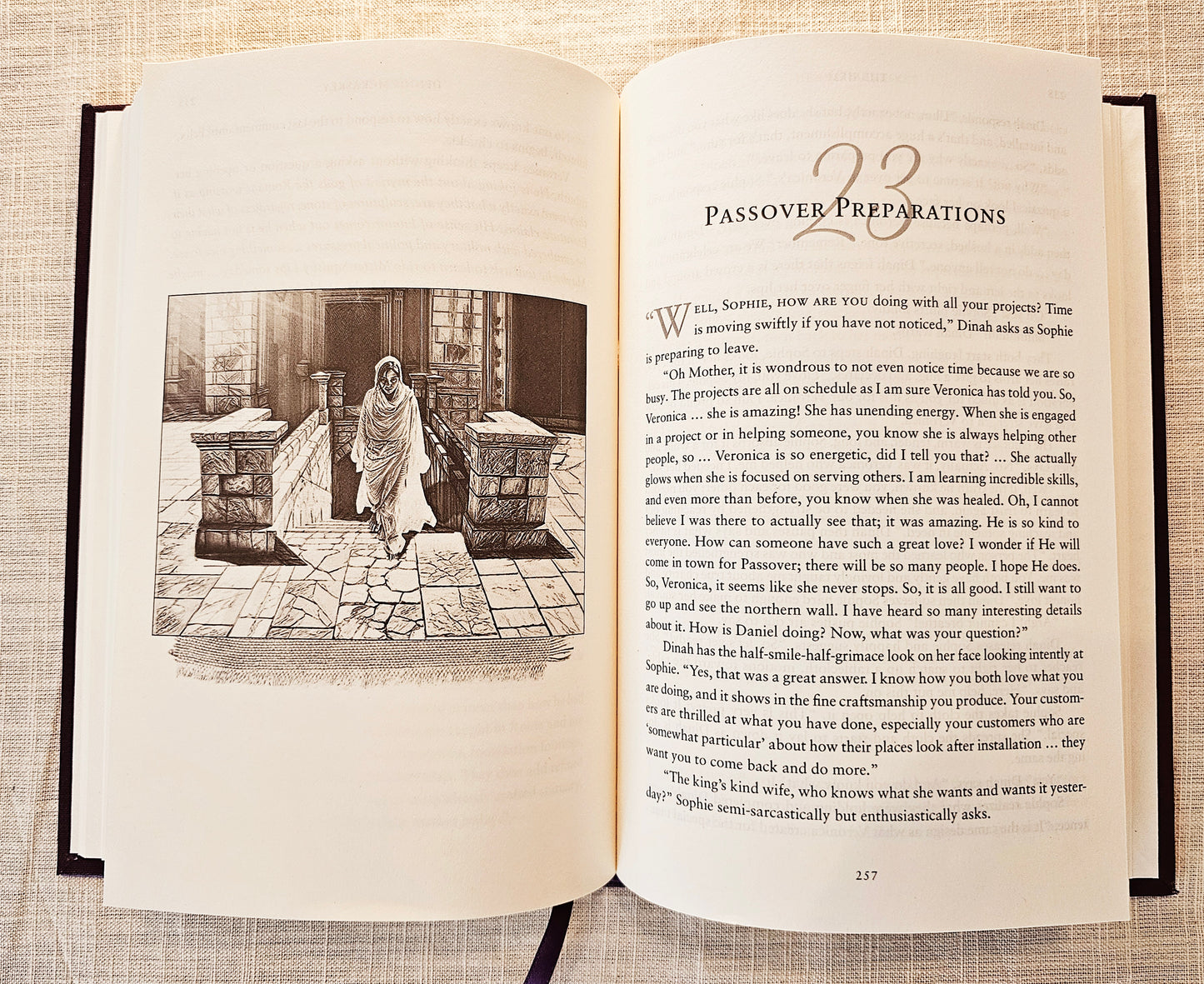 The Hem collector's edition novel